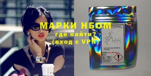 индика Приозерск