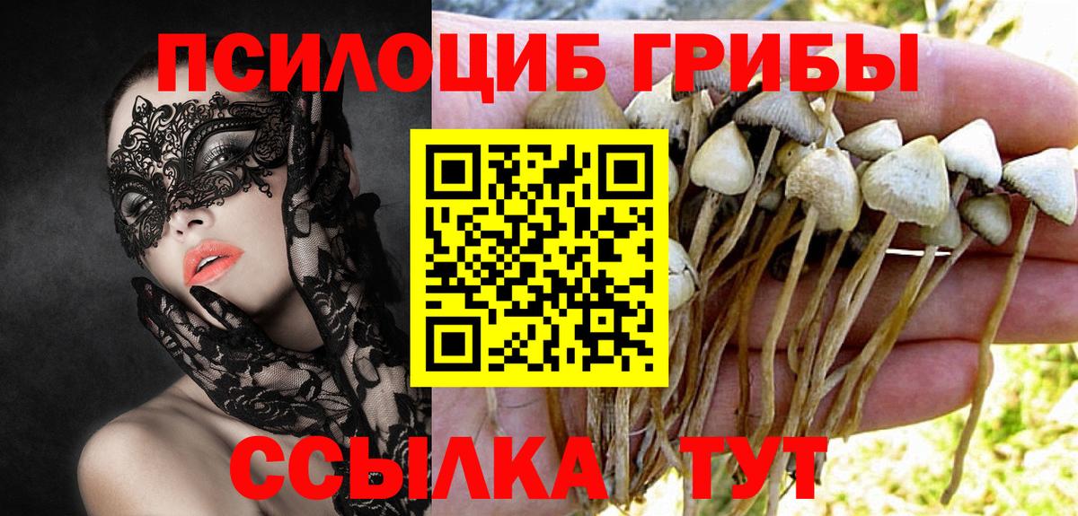Псилоцибиновые грибы MAGIC MUSHROOMS Мичуринск