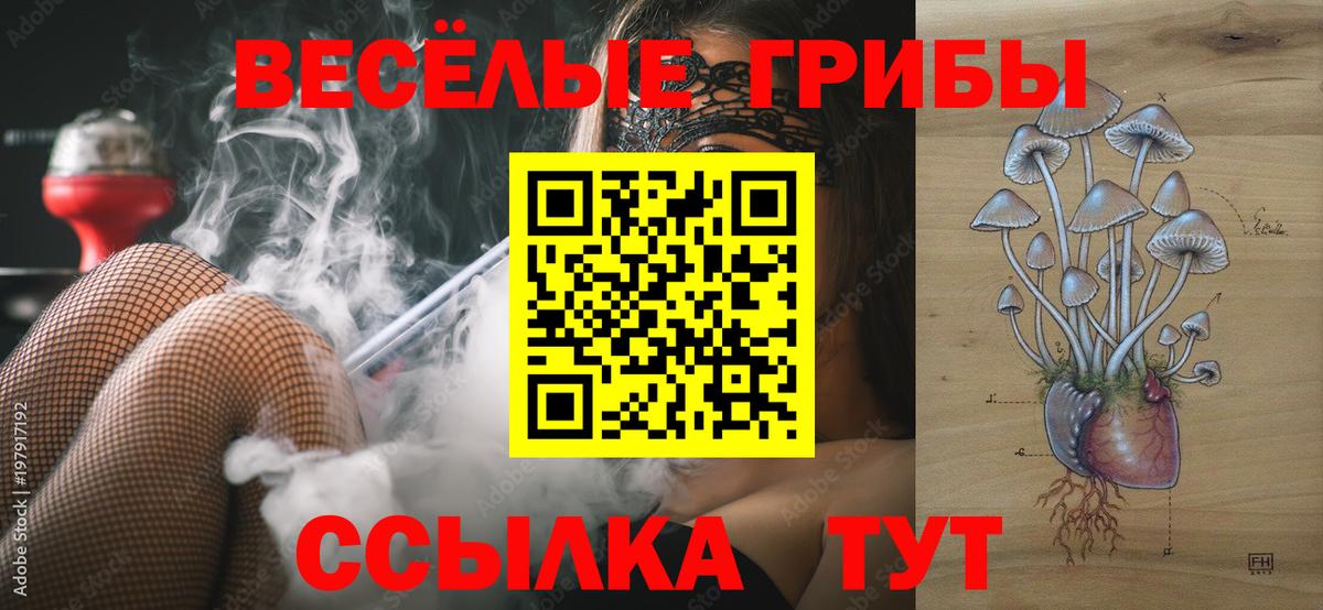 Галлюциногенные грибы Psilocybe  Вход с VPN  Псилоцибиновые грибы мицелий  Мичуринск 